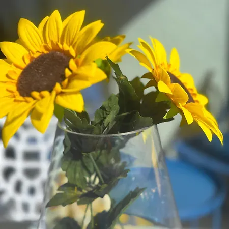 Rosae By Pom, Piscine, Pkg Agde