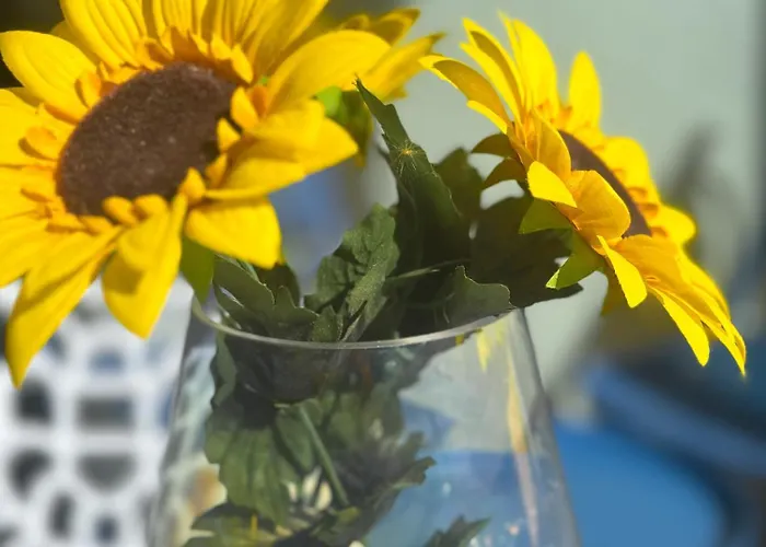 Rosae By Pom, Piscine, Pkg Agde